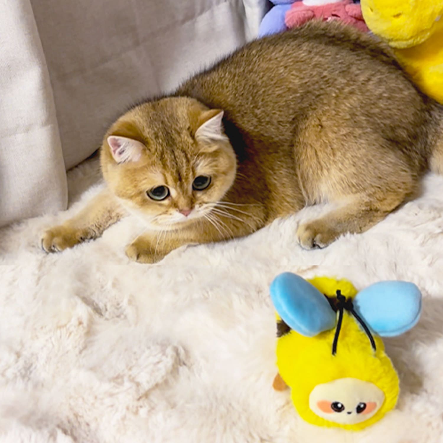 Dance & Chirp Flapping Bee - Image 5