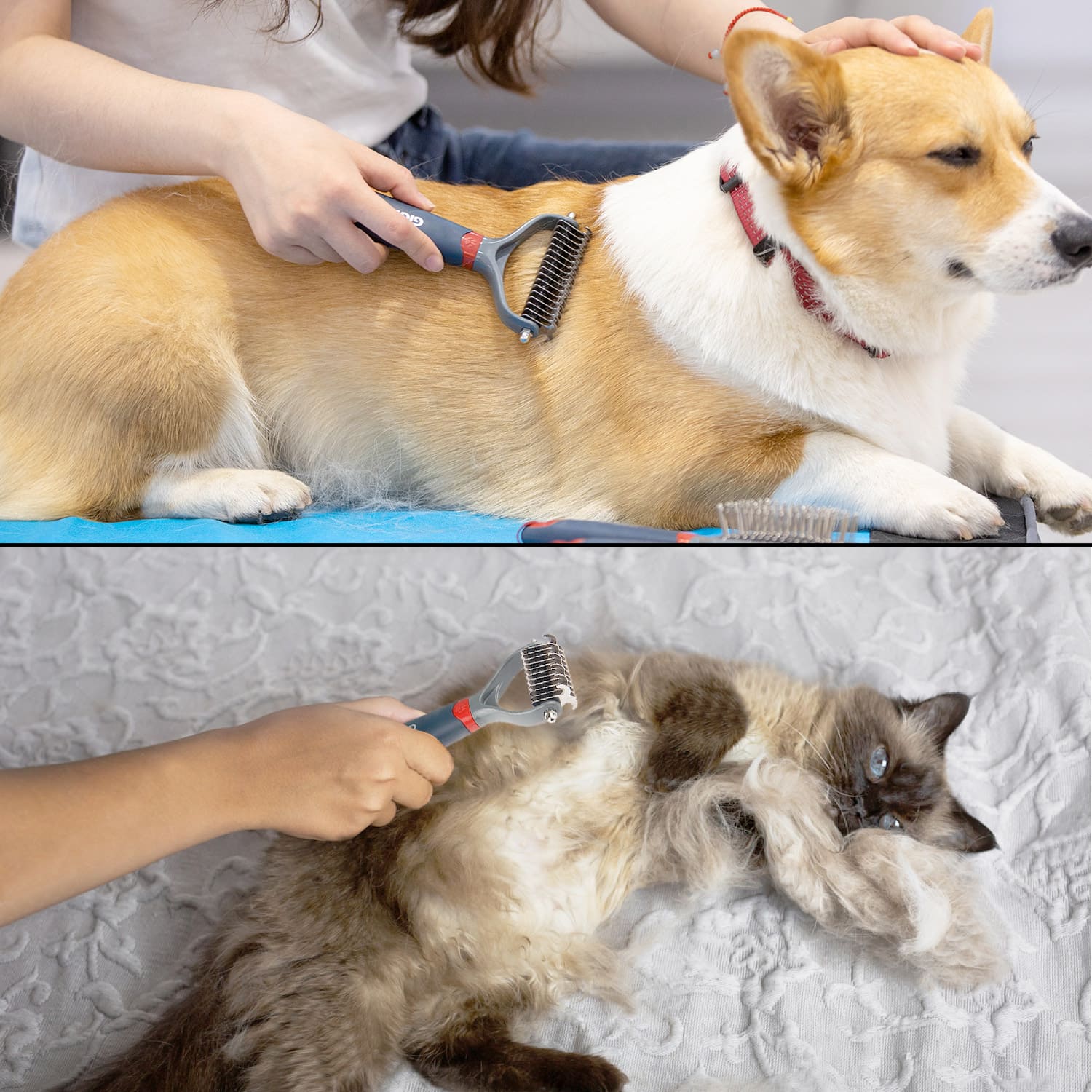 Dual Head Dematting Comb 11 Teeth for Dogs & Cats - Image 6