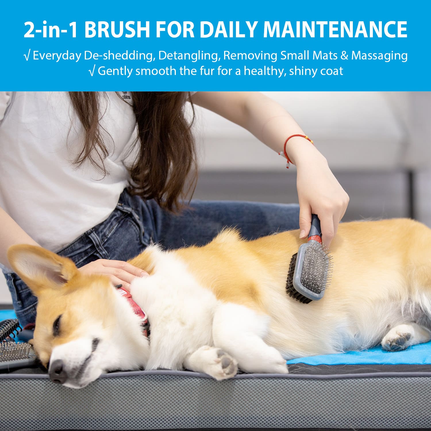 Double-Sided Brush Nylon Bristles & Pins for Dogs and Cats - Image 3