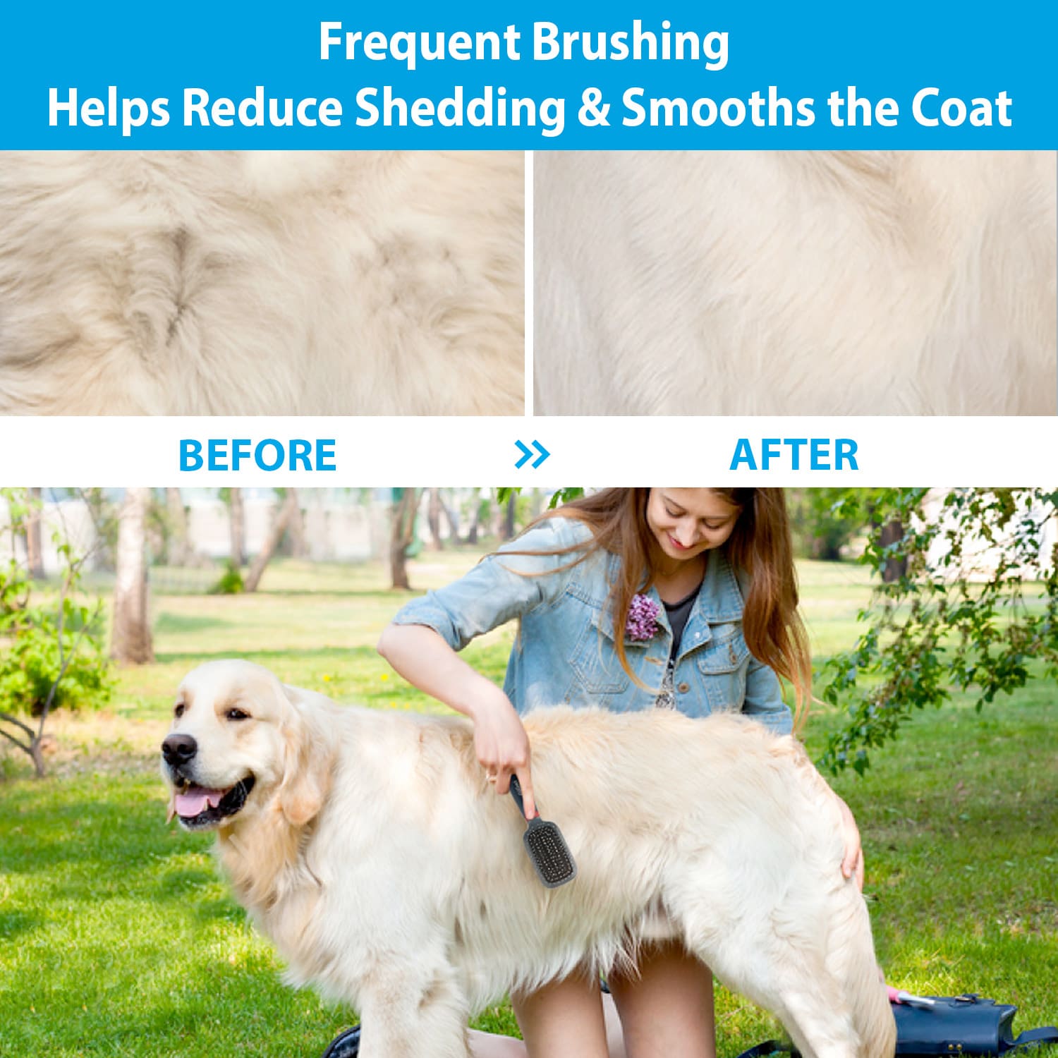 Double-Sided Brush Nylon Bristles & Pins for Dogs and Cats - Image 4