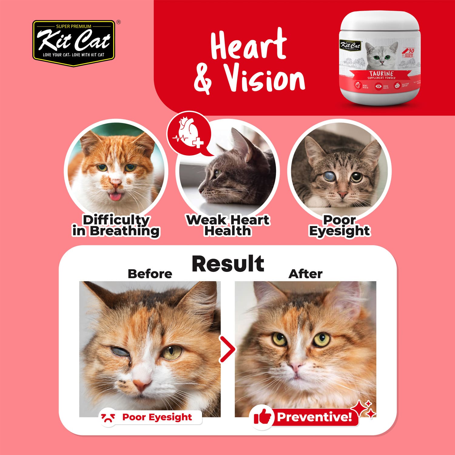 Kit Cat Taurine Supplement Powder 150g (5g x 30 Sachets) - Image 2