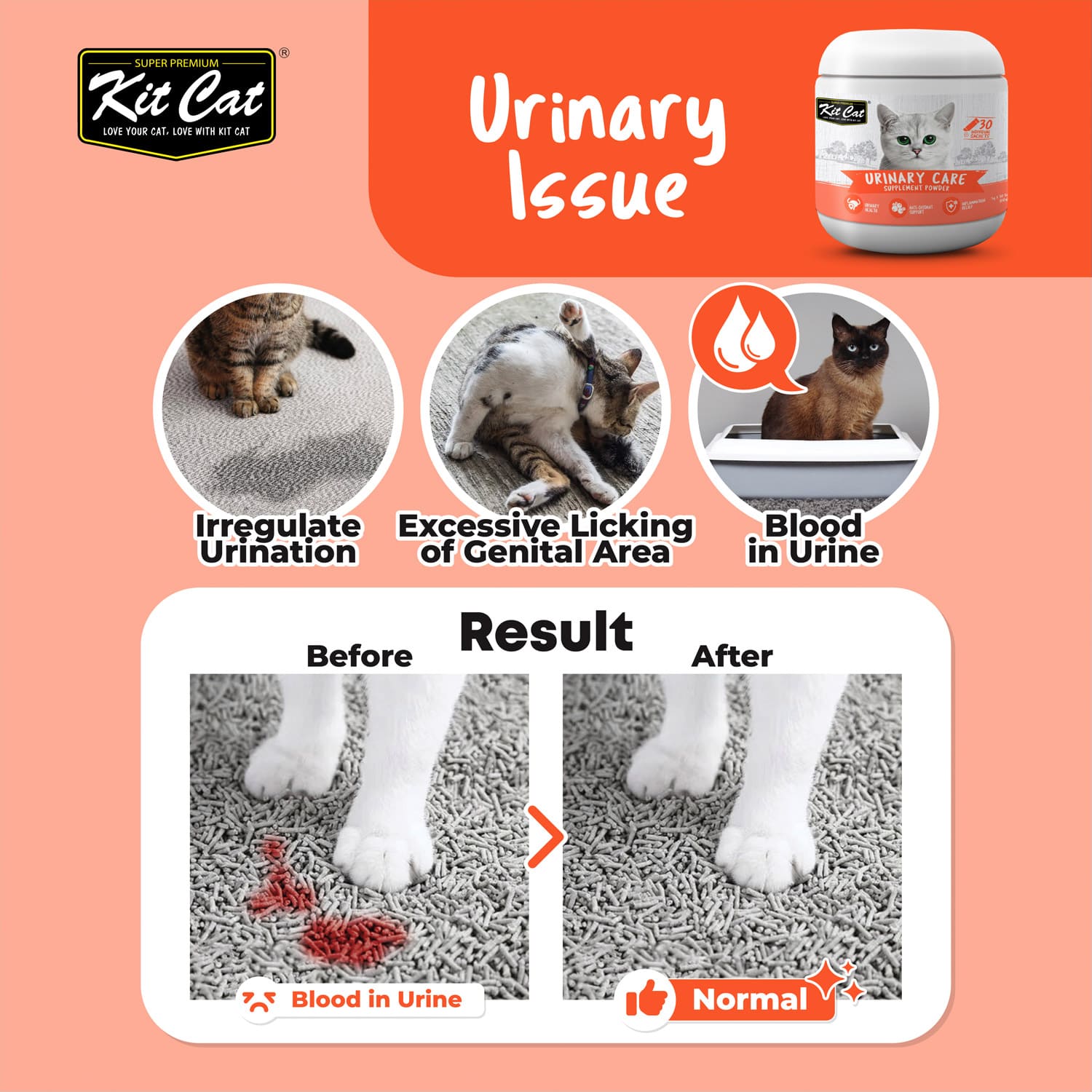 Kit Cat Urinary Care Supplement Powder 150g (5g x 30 Sachets) - Image 2