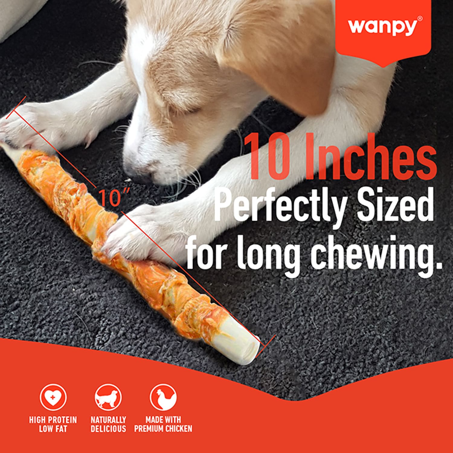 Wanpy Chewy 10" Chicken Jerky & Rawhide Twists 70g - Image 5