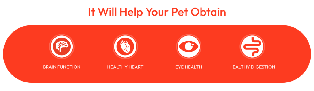 Wanpy Lickable Cream Spoon Salmon