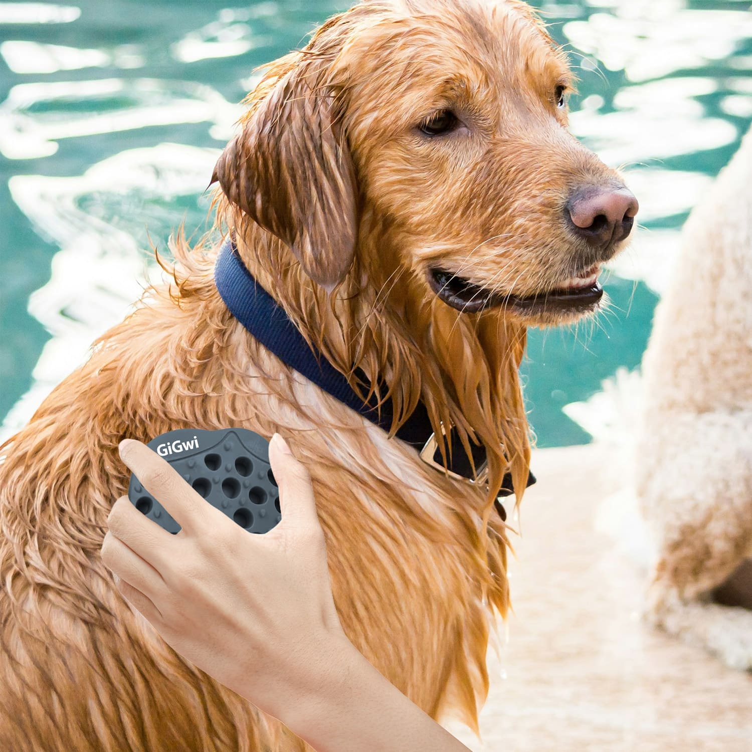 Long Tapered Bristled Brush for Dogs and Cats - Image 6