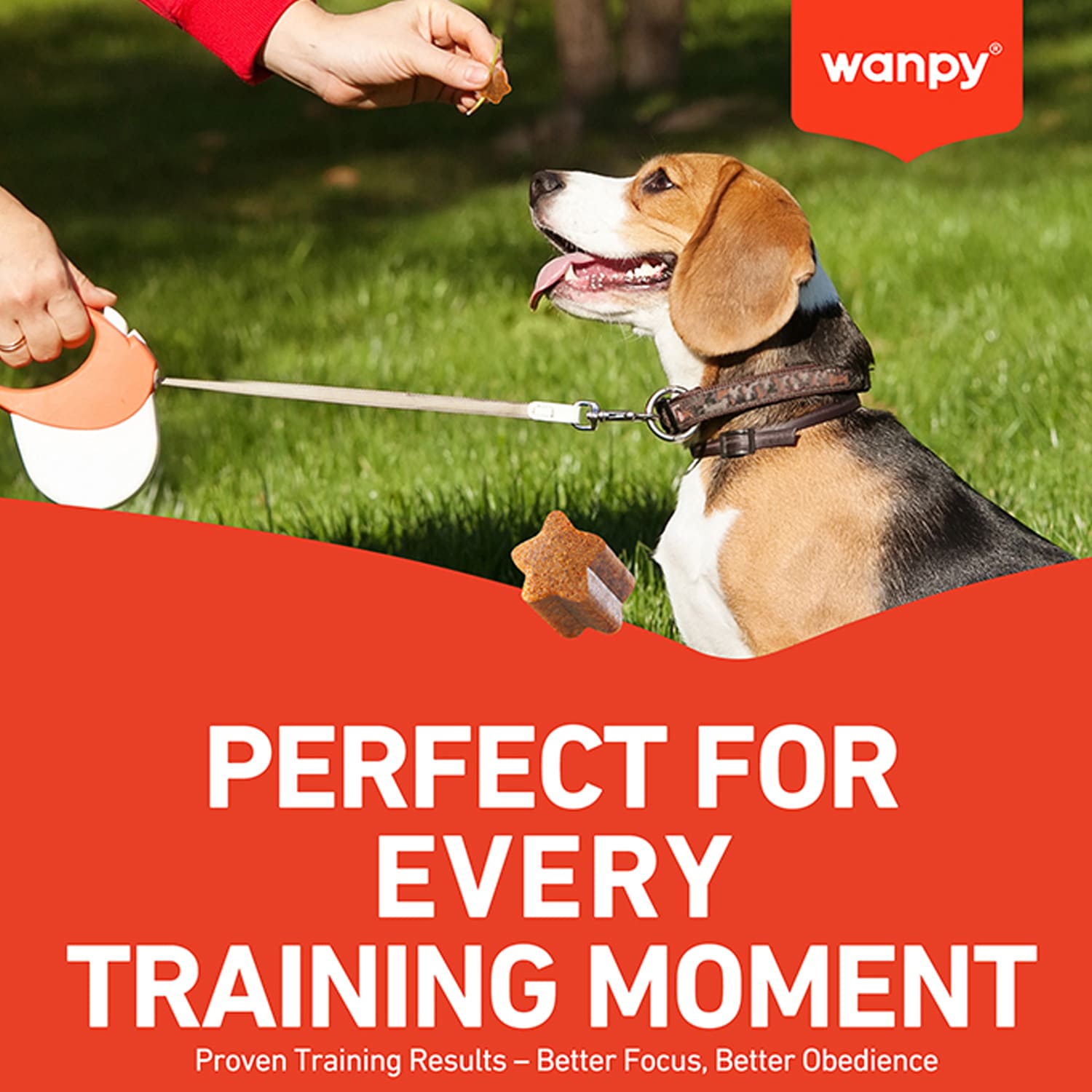 Wanpy Training Bites Lamb Recipe 100g - Image 5