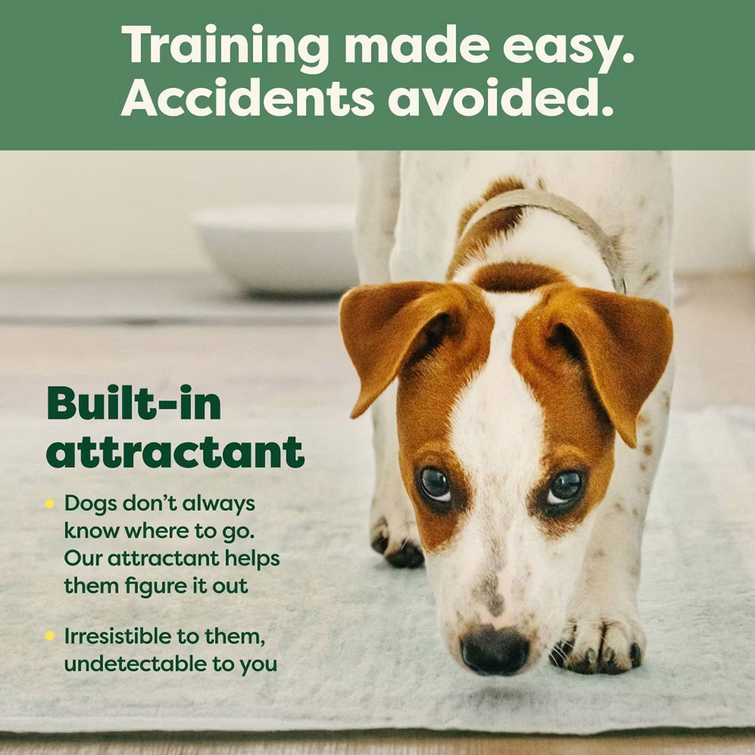 Earth Rated Max Absorbency Training Pee Pads - Extra Large - Image 7